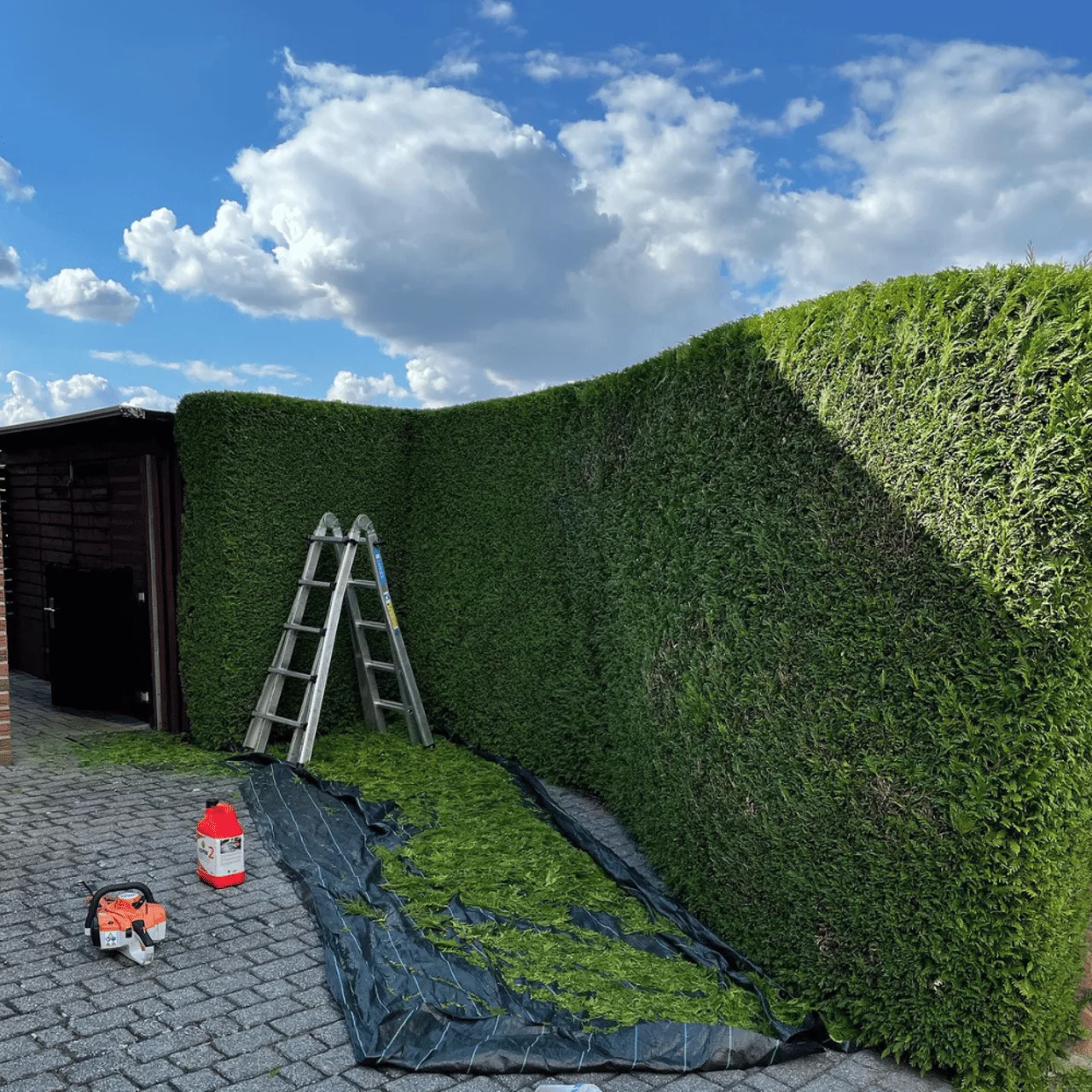 Geschnittene Hecke mit Arbeitsmaterial vor Ort
