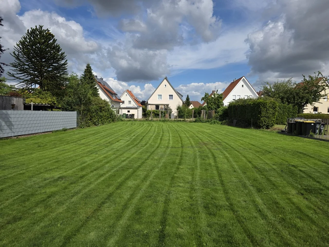 Rasenfläche nach Neuanlage und Anwachsen